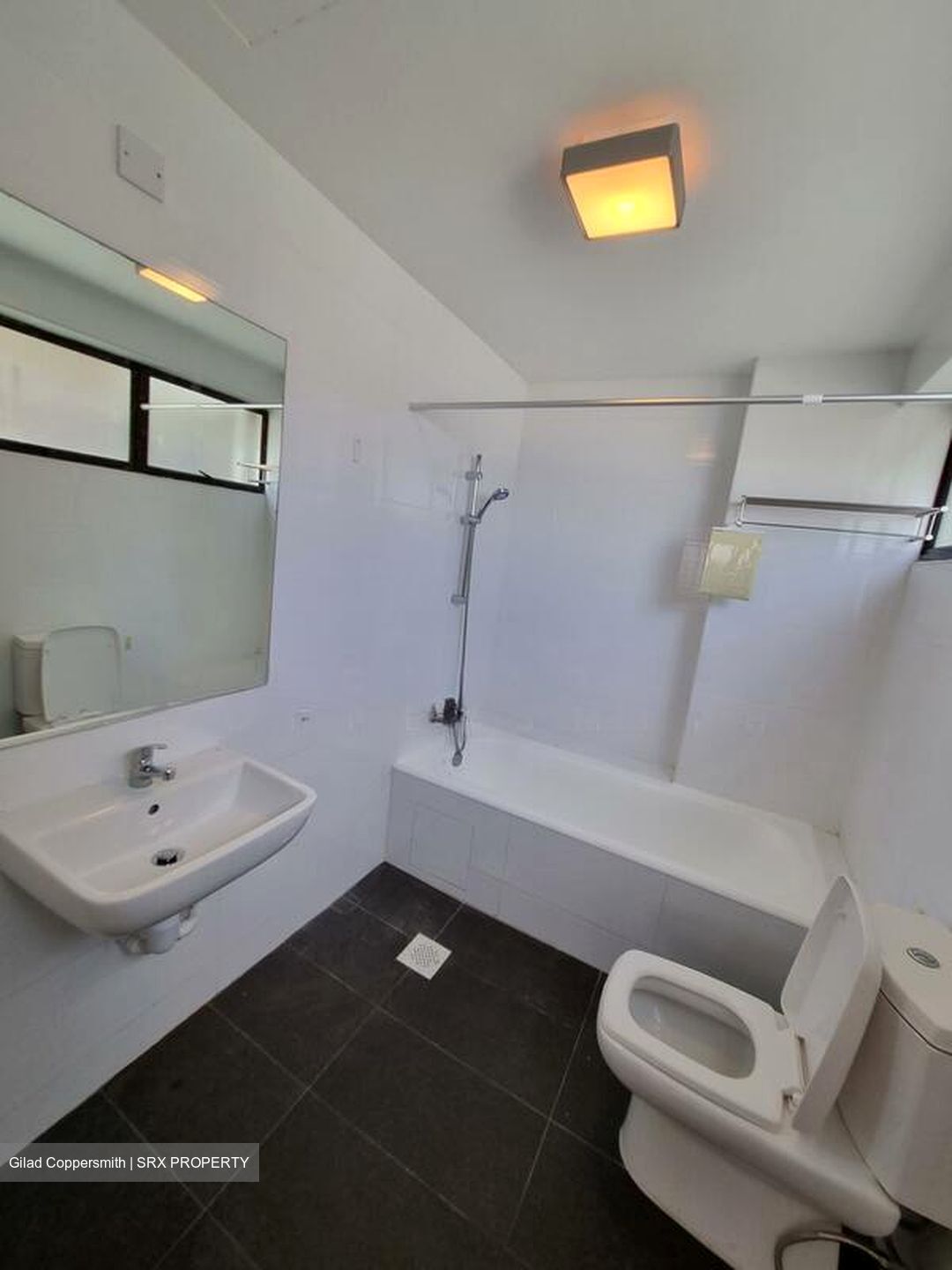 The Cairnhill (D9), Condominium #511347041